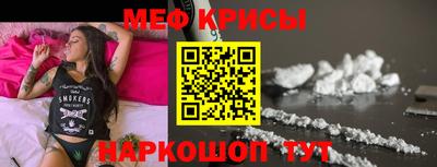 индика Кингисепп