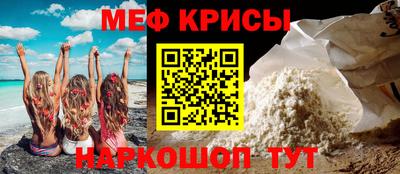 индика Кингисепп