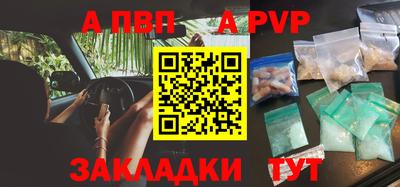 индика Кингисепп
