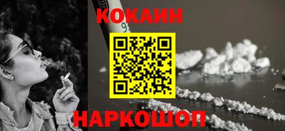 индика Кингисепп