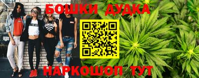индика Кингисепп