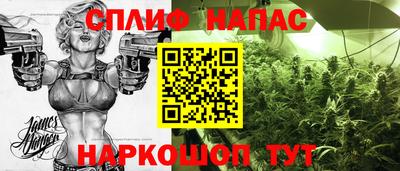 индика Кингисепп