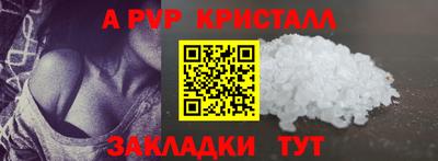индика Кингисепп