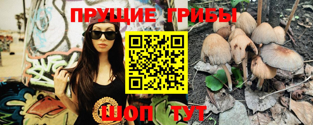 Псилоцибиновые грибы мицелий  Вход с VPN  Каменск-Шахтинский 