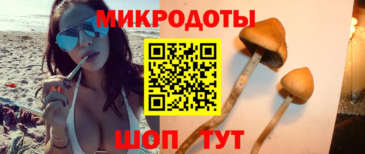 Галлюциногенные грибы MAGIC MUSHROOMS Каменск-Шахтинский